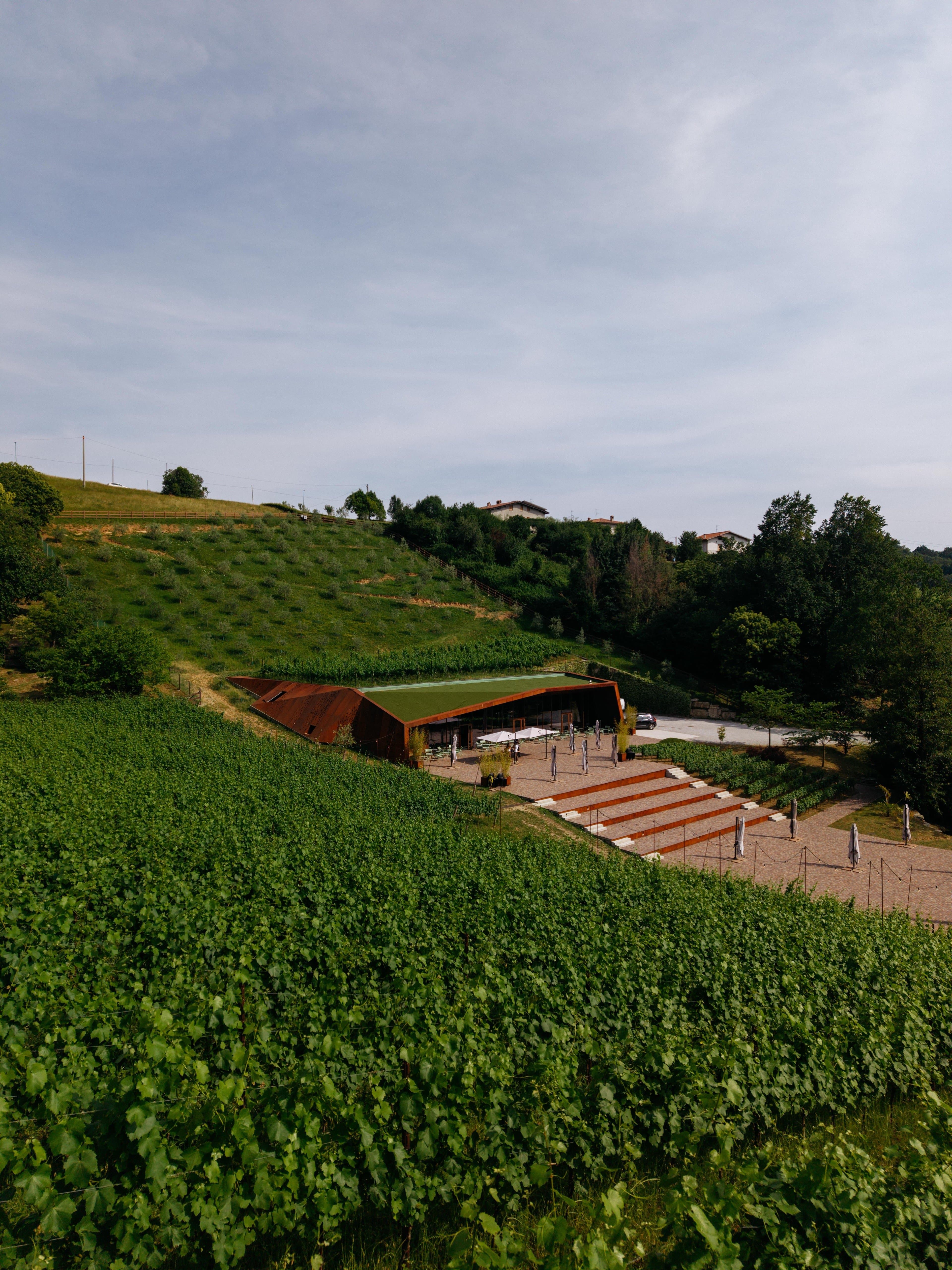 Martinelli, Bergamo